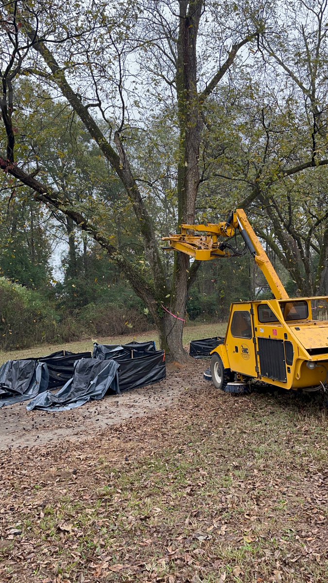 Happy National Pecan Day! DYK our researchers are conducting work to enhance pecan food safety practices along the production chain? Their work helps farmers & producers with preventing contamination of foodborne pathogens in pecans. Read more: doi.org/10.1016/j.heli…