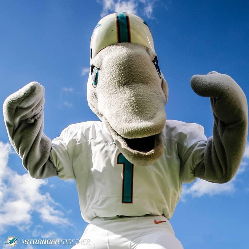 Happy National Dolphin Day🐬🐬🐬 FinsUp 🐬 #GoFins