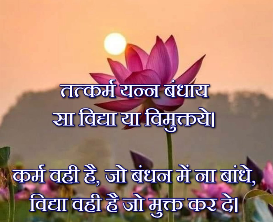Beauty Singh tweet media