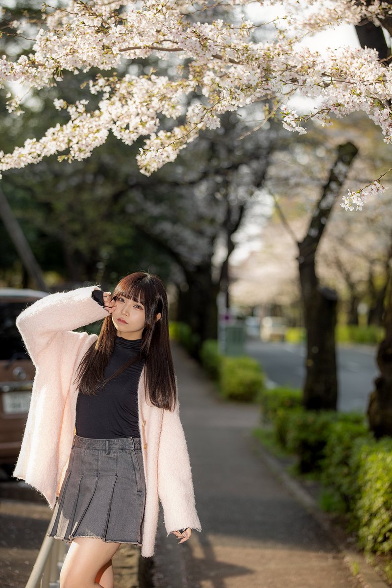 あおはるちゃん 🌸 @03_aoharuchan #portrait #ポートレート #桜