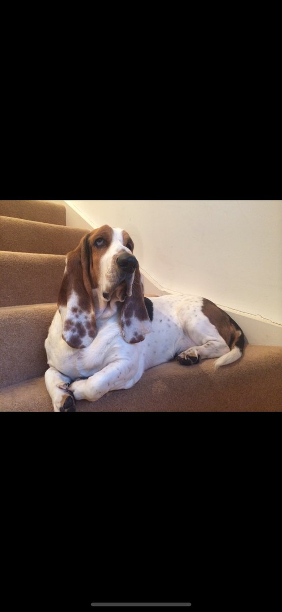 Paul Howard tweet media