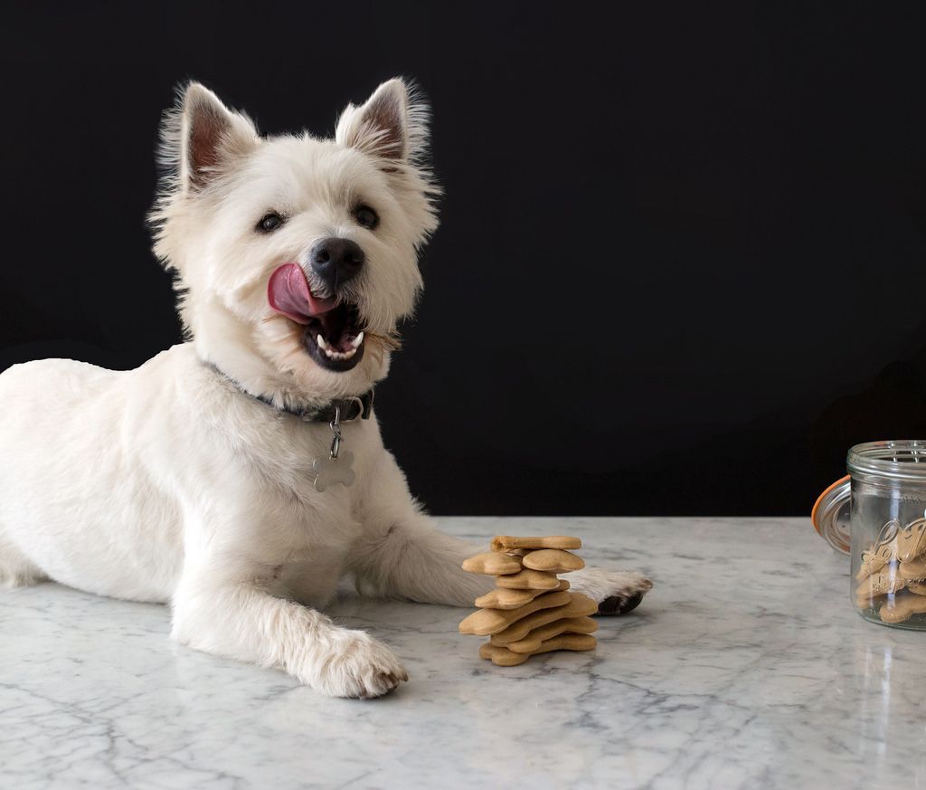 docabc's tweet photo. These basic peanut butter treats are as easy as can be, and my dog loves them. They keep well -- up to 2 weeks in an airtight container. ... these plain versions are my go-to.  https://t.co/M4vOnoZdAz https://t.co/IGEywJPcR0