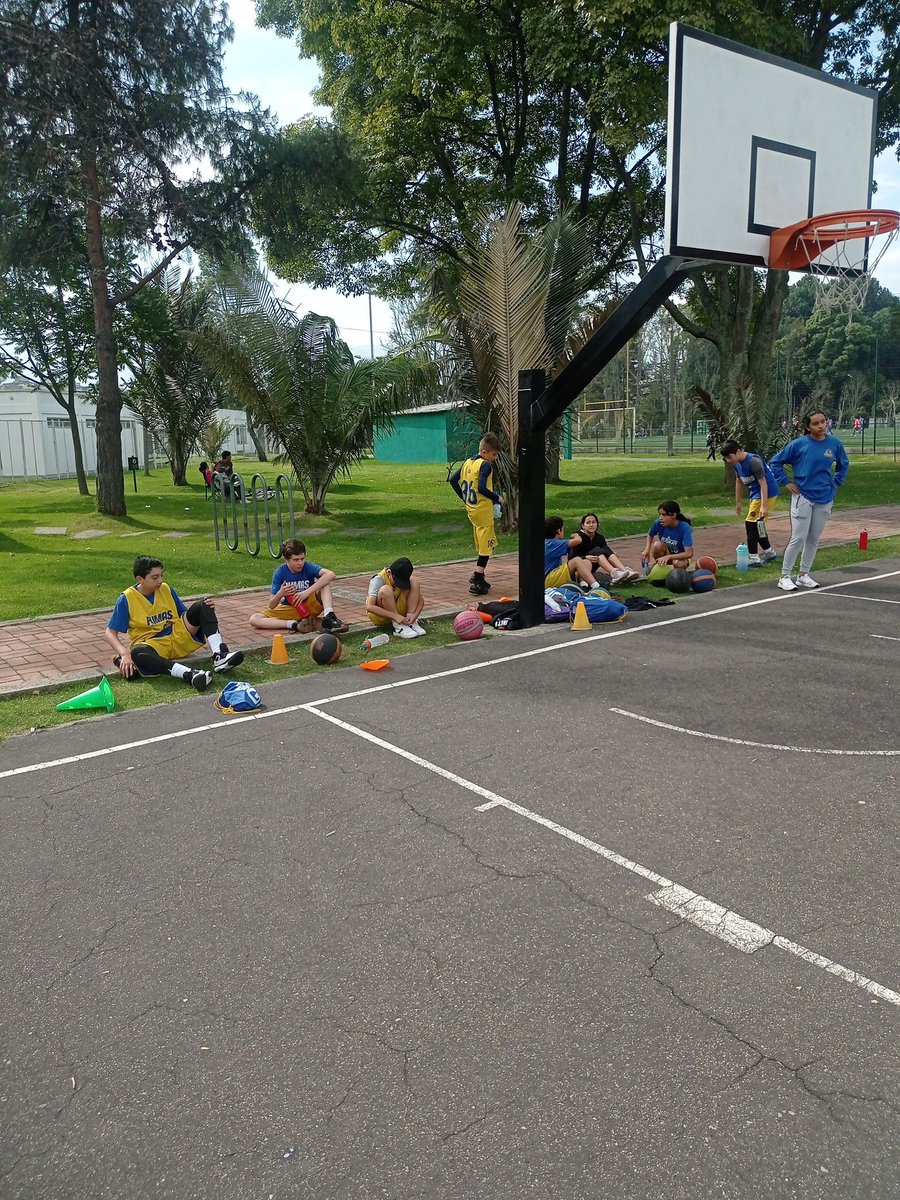 pumasbasket's tweet photo. En Minibasket se aprende y se divierte al máximo.#damadelbaloncesto #aniversariopuma26años https://t.co/gogyxEdz32
