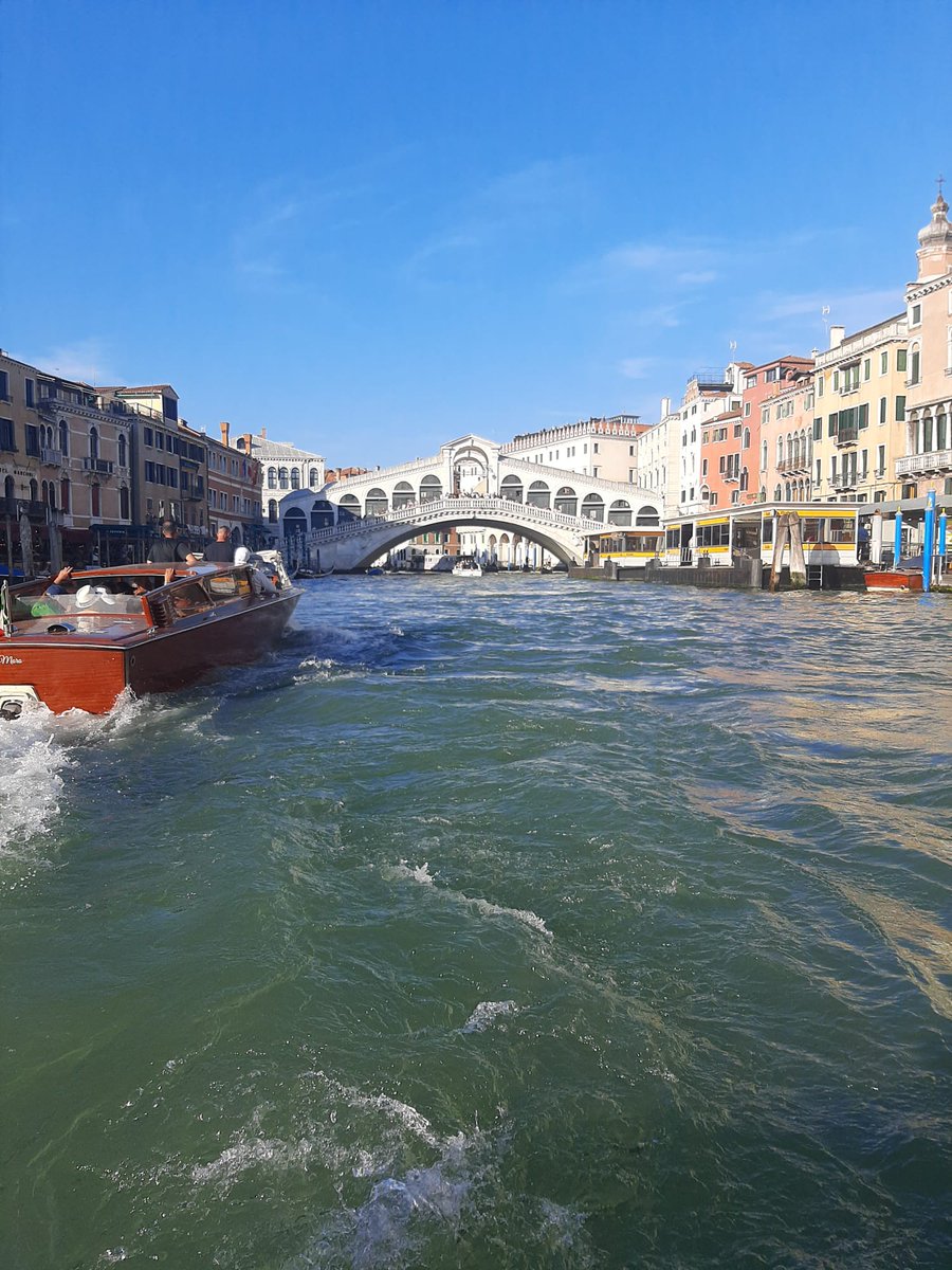 Huesitos_Real's tweet photo. grupo estoy en venecia, voy a buscar al fontanero de mierda ese para morirlo https://t.co/0gB08NRbF3