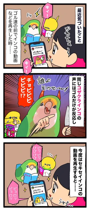 ゴルカチョと同じ部屋でよその鳥ちゃんの動画を見るとこうなる🙂‍↕️🙂‍↕️

1094 #えるポピの絵日記かくところ 