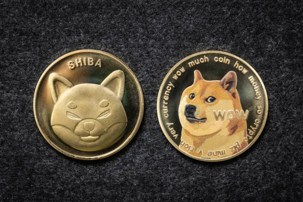 Which coin do you prefer? #Dogecoin #ShibaInu ??? Comment!!