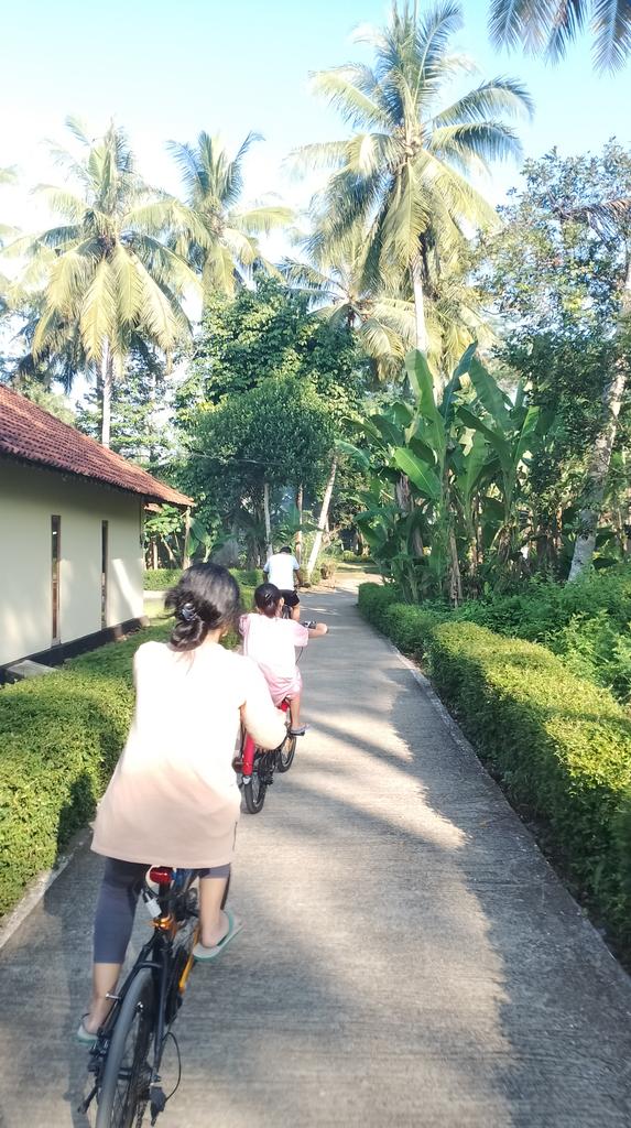 tharstudy's tweet image. glimpse of mudik 🚙💨