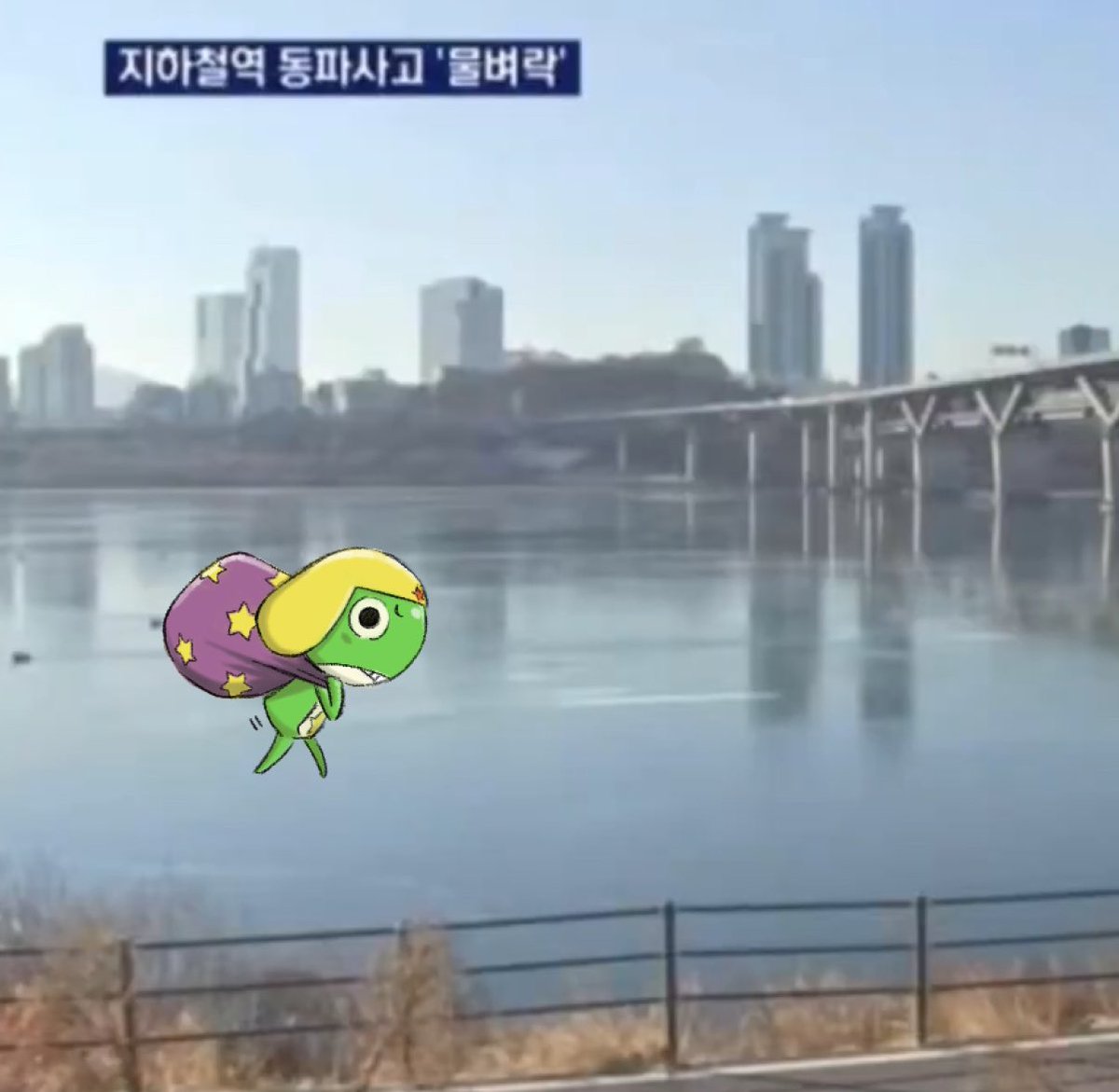 꽁꽁얼어붙은 한강위로 (집이없는)개구리가 걸어다닙니다