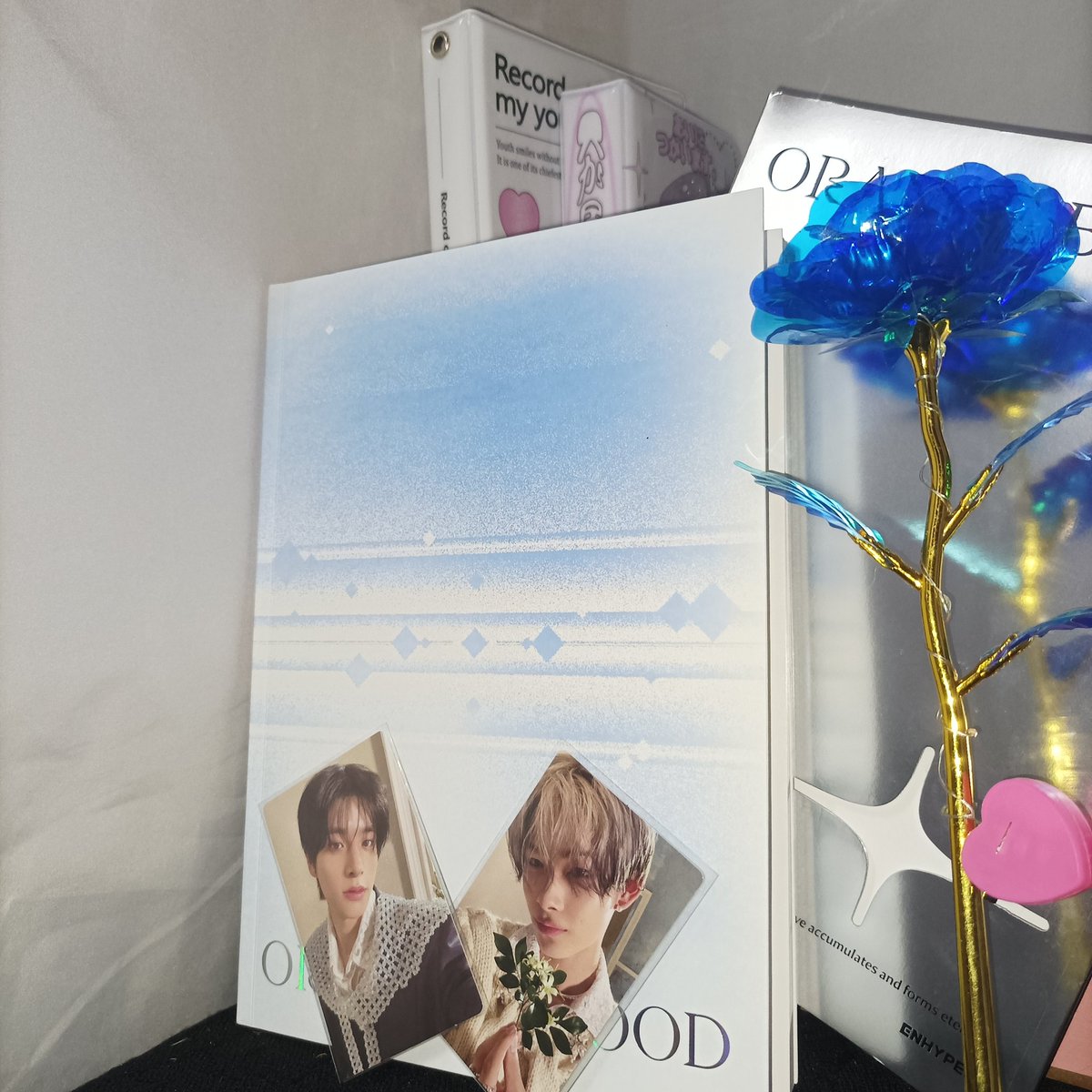 loves_ksn's tweet photo. HELLO EN-SPACE FAM !
First of all thankyou so much sa napanalunan kong kalpa album 😭
hindi ko expect na mananalo ako kasi kinakapos na ako ng hininga di pa nag start yung game since naging mainit sa loob pero worth it!! +
#JAYsLigaya #JayCSE #ENHYPEN_JAY @Engene4Enhypen https://t.co/k2IVx73jCQ