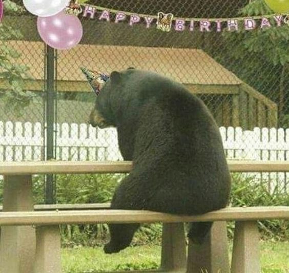 I am now 24 years old