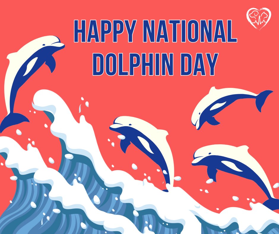 Celebrate National Dolphin Day and admire the beauty and intelligence of these incredible creatures! 🐬💙 #NationalDolphinDay #DolphinLove