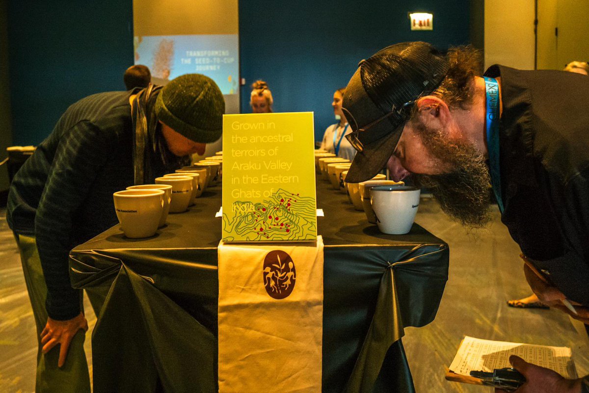 manoj_naandi's tweet photo. Smell. Slurp. Spit. Score.
This is from Chicago yesterday. Needless to say that the roasters/importers already bought all our best quality in tonnes. Only micro lots left which we will auction later under the aegis of #GemsOfAraku
These tribal farmers @arakucoffeein are 👏🙏 https://t.co/yTIYthNhIa