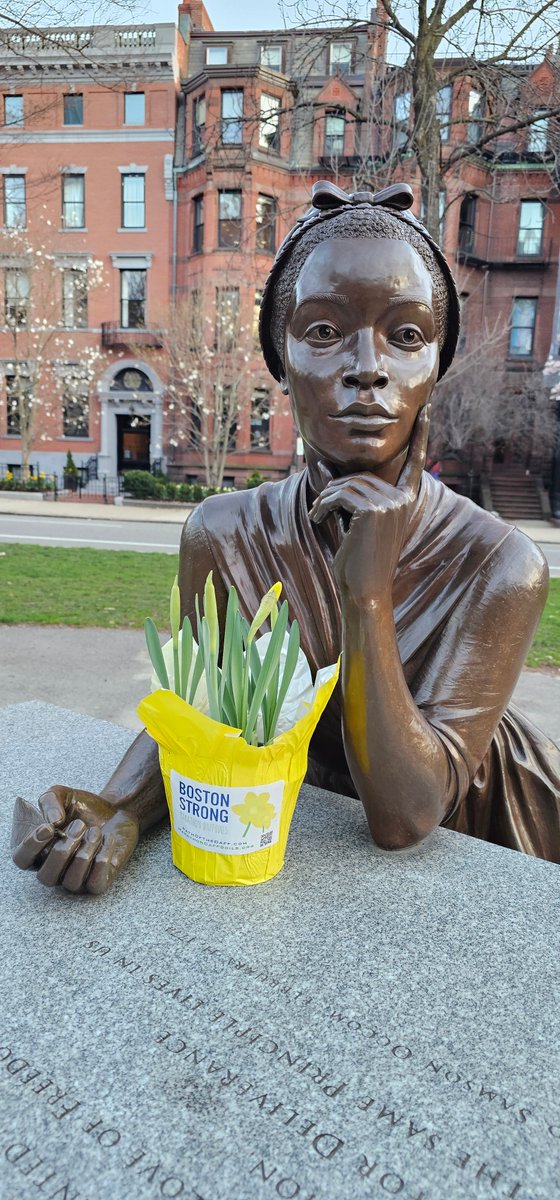 Thousands of locally grown yellow daffodils are installed along the Marathon route each year to “remember those who lost their lives...and to signify the resilience and strength of the entire Boston Strong community' after the tragic events in 2013. 💛