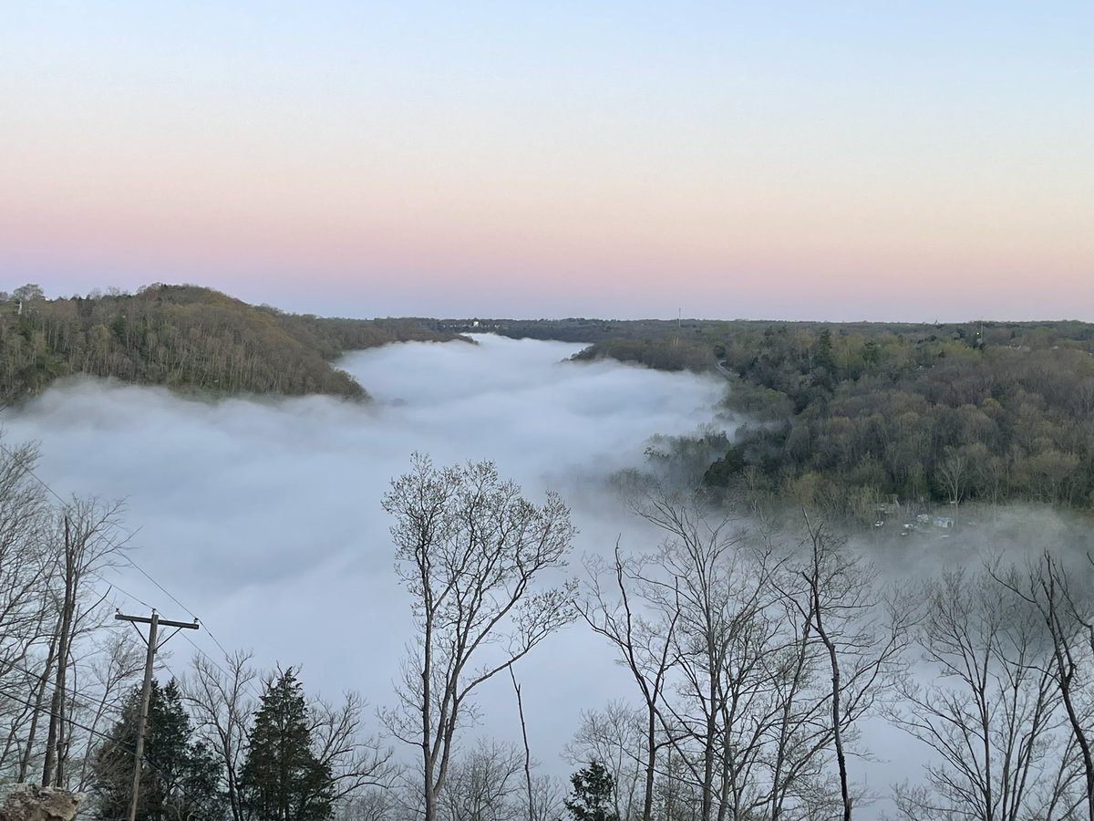 George Shunnara tweet media