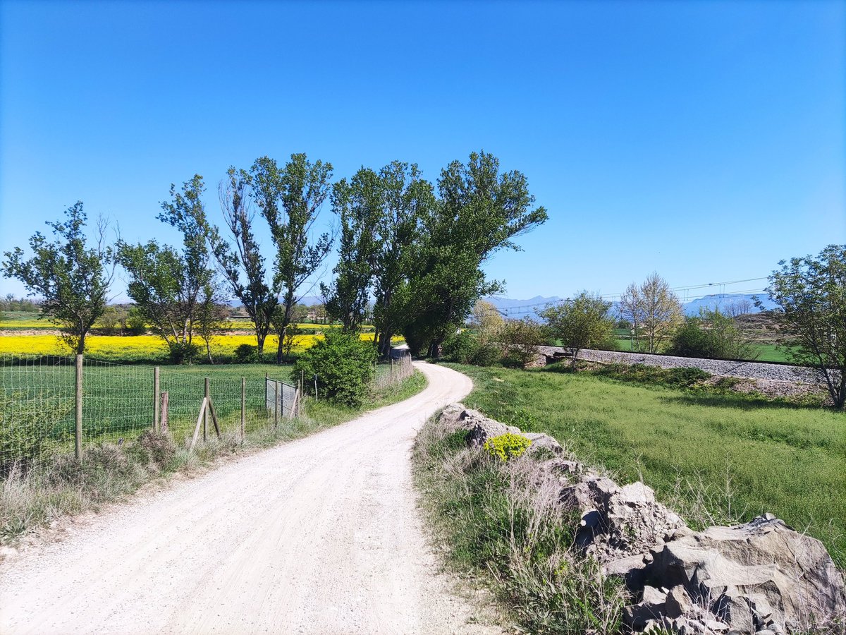 Pinzellades de primavera #osona