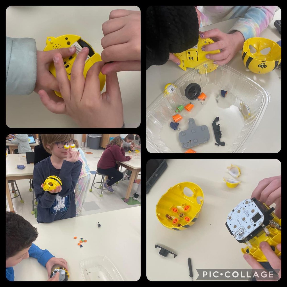 Amy Carter tweet media