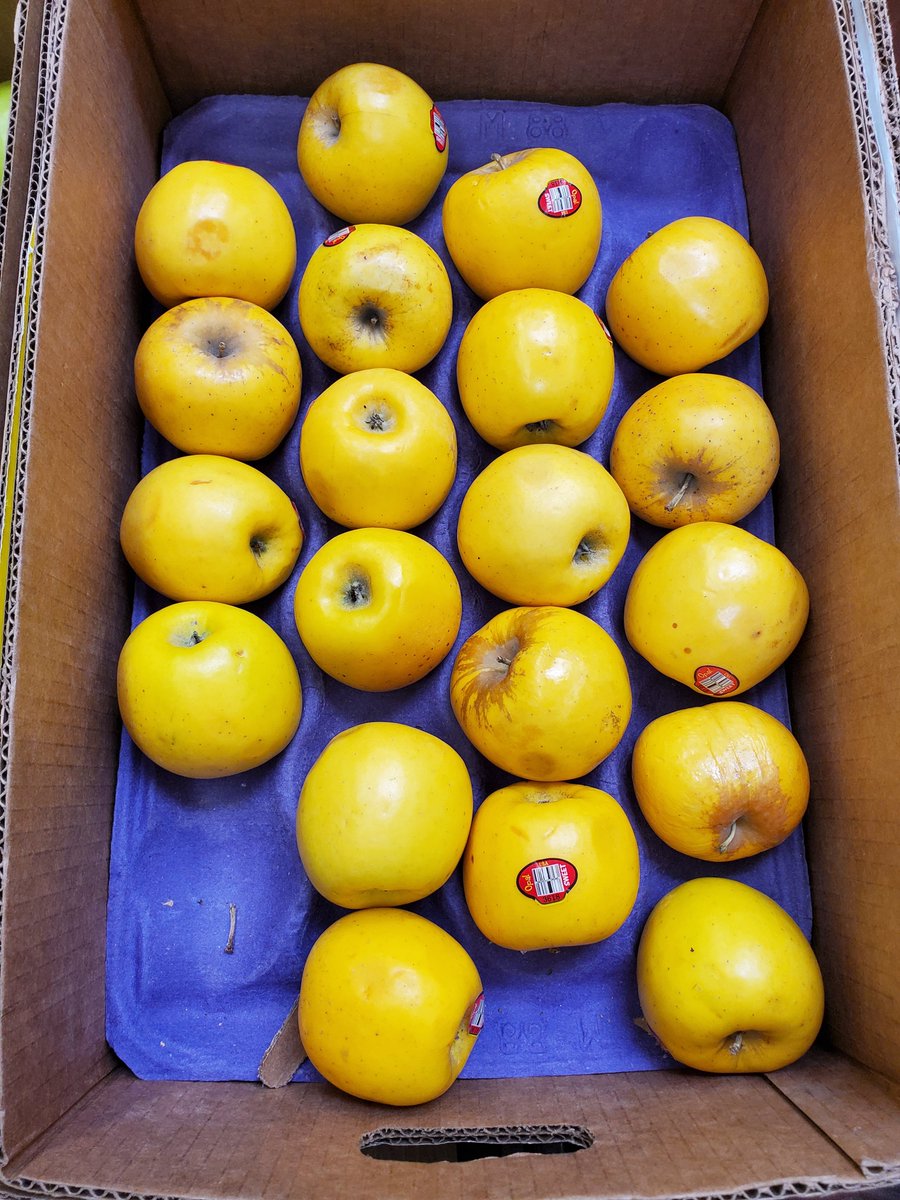 Howie Hua tweet media