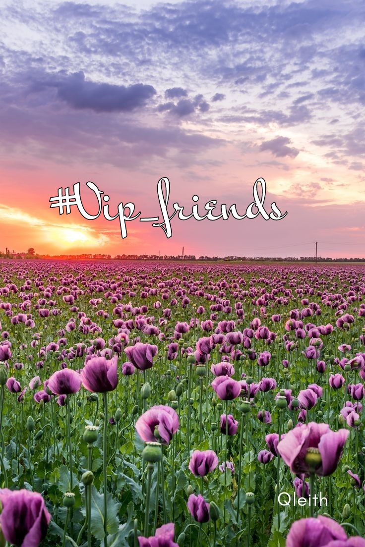 #VIP_FRIENDS ⭐

@SOY_ALESXIA2 
@_ALESXIA 
🦋  
@tripletsfan19 
@_Fiel_Seguidor
@WALLI27 
@DALIHAH_
@MERRY_ZAE
@seraichiban3 
@As_t40
@Ruth_111 
@B_ELLE3
@_ALAN220
@NEENAH678
@MARTHA_CAN2
@LauraMi25356713
@ChrisSweetman6 
@SINGHASINGH 
@nuvisionquestt3
@GRAHAM15583070
@VIO_LET9