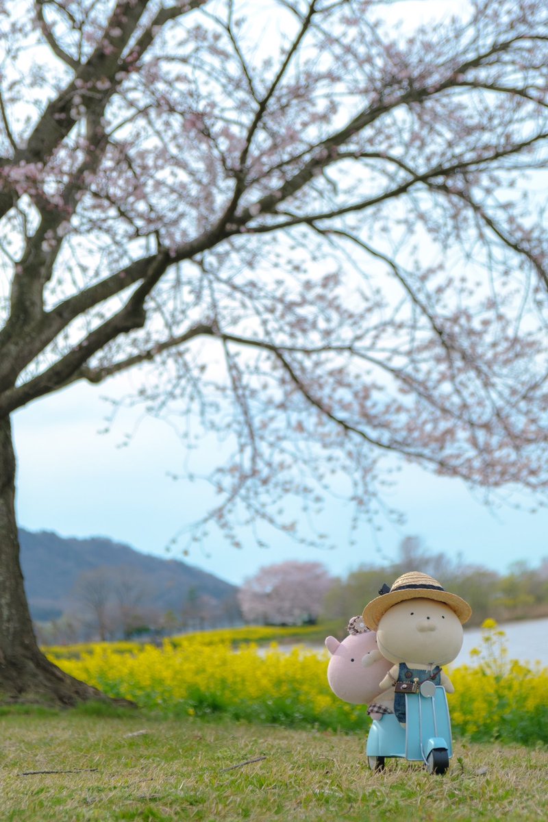 drkshdw4strings's tweet photo. 春の定期巡回
#ご無沙汰
#うさまる #usamaru
#新潟カメラ部 #新潟写真部 #niigatapic #東京カメラ部 #tokyocameraclub
#fujifilm #fujifilm_xseries https://t.co/qKp1tvc3w7