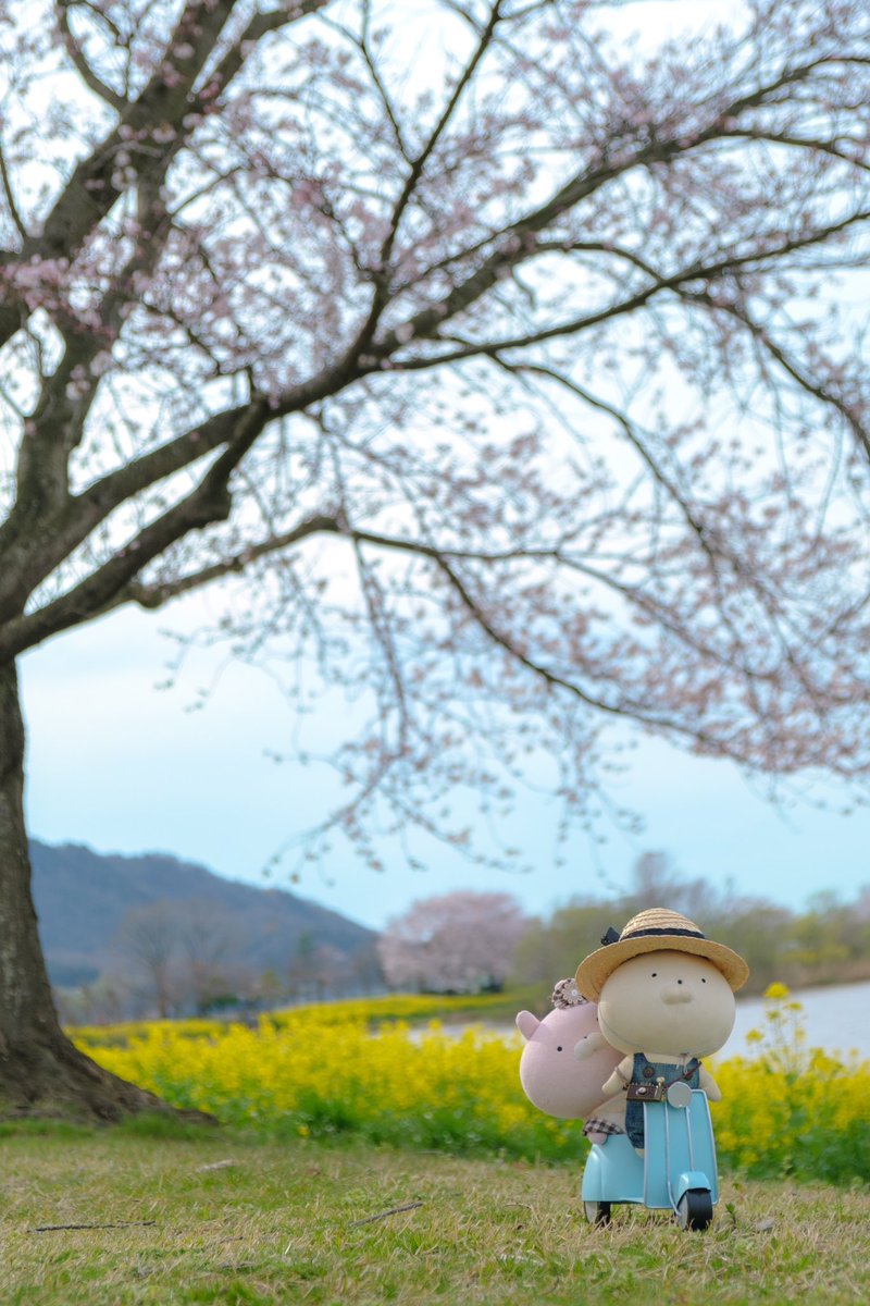 春の定期巡回

#ご無沙汰 
#うさまる #usamaru 
#新潟カメラ部 #新潟写真部 #niigatapic #東京カメラ部 #tokyocameraclub 
#fujifilm #fujifilm_xseries