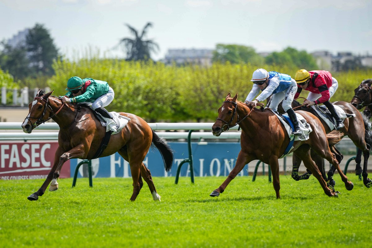 CALANDAGAN (Gleneagles @coolmore) remporte le Prix Noailles (Gr3) à @paris_longchamp. L'élève et représentant des @AgaKhanStuds était associé à @pasquito60. Il défend l'entraînement de @GraffardRacing. 📸@ScoopDyga