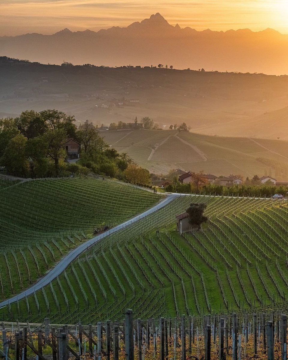 la Community ufficiale di Instagram dal 2012, con le foto più belle del Piemonte presenta: 🖼️ Le Langhe, patrimonio collinare dell'UNESCO AUTORE @pol_servetto • MOD @lauradistrattta & @hari_seldon ADMIN @berenguez TAG #ig_piemonte #piemonte MAIL piemonte@igworldclub.it