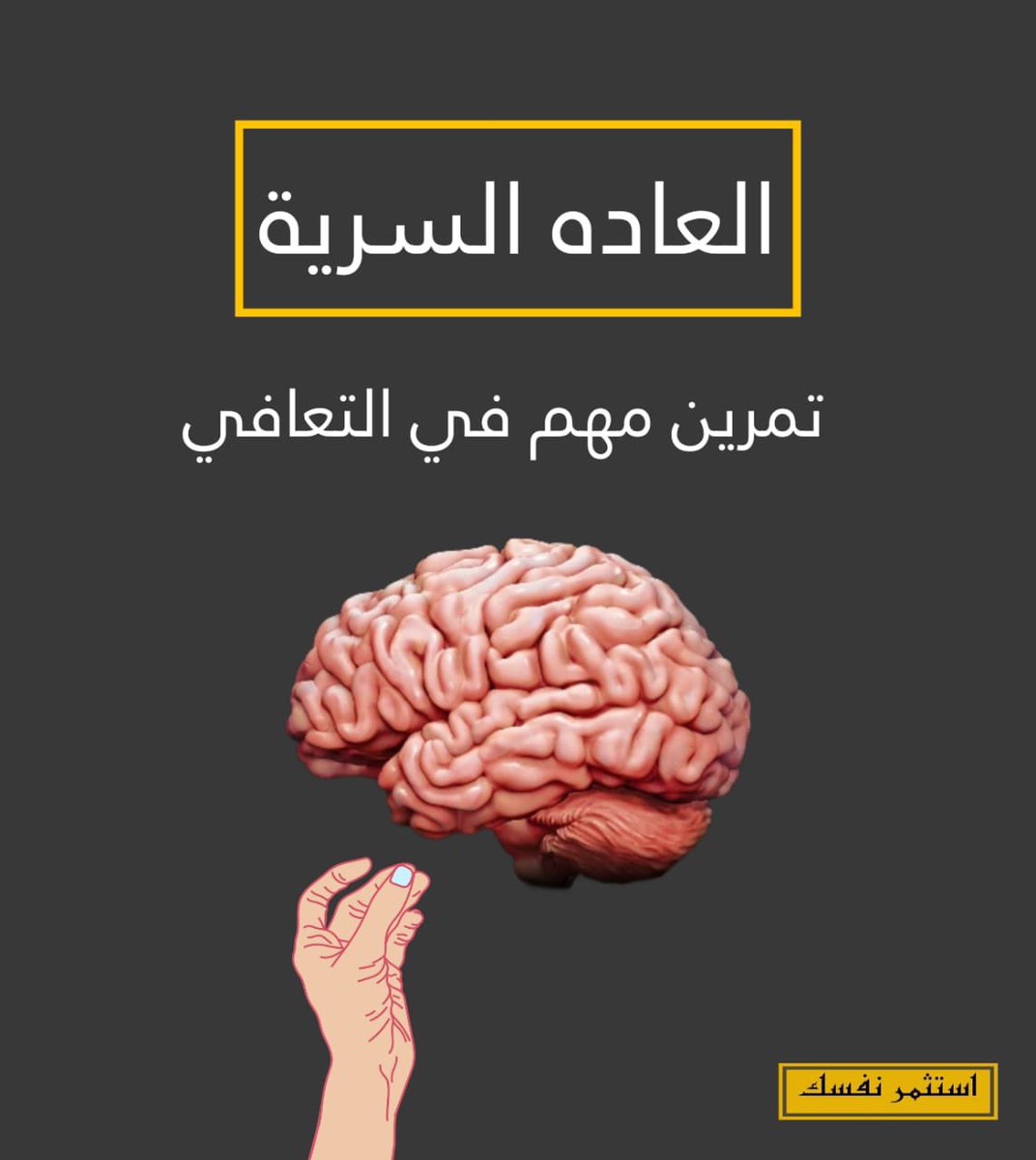 Lavender755's tweet photo. ثريد :

تمرين مهم للتعافي من العادة السرية

فضل التغريدة https://t.co/XcAstgG8i2