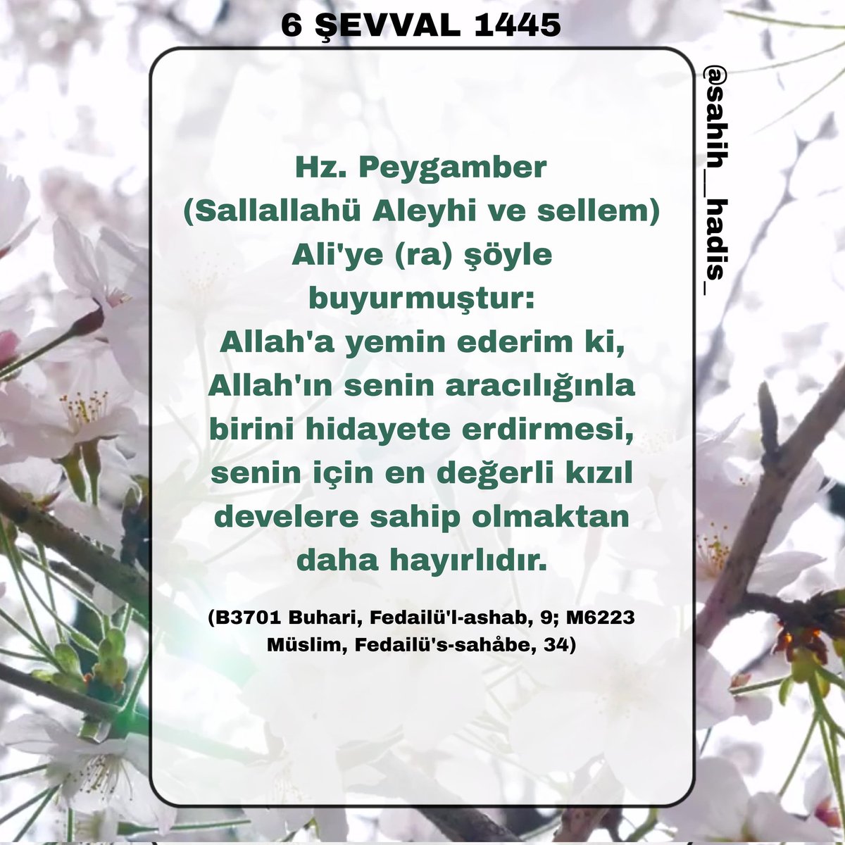 Hz. Peygamber (Sallallahü Aleyhi ve sellem), Ali'ye (ra) şöyle buyurmuştur: Allah'a yemin ederim ki, Allah'ın senin aracılığınla birini hidayete erdirmesi, senin için en değerli kızıl develere sahip olmaktan daha hayırlıdır. (B3701 Buhari, Fedailü'l-ashab, 9; M6223)