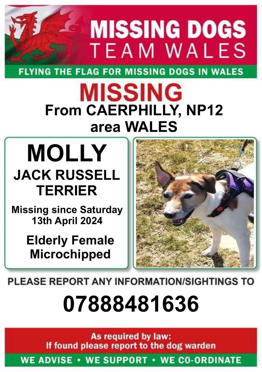 ‼️MOLLY 15YRS OLD MISSING‼️ ‼️ SINCE SAT 13th APRIL FROM #MARKHAM AREA #CAERPHILLY #NP12 #WALES Please call the number on this poster if Molly is seen ⬇️