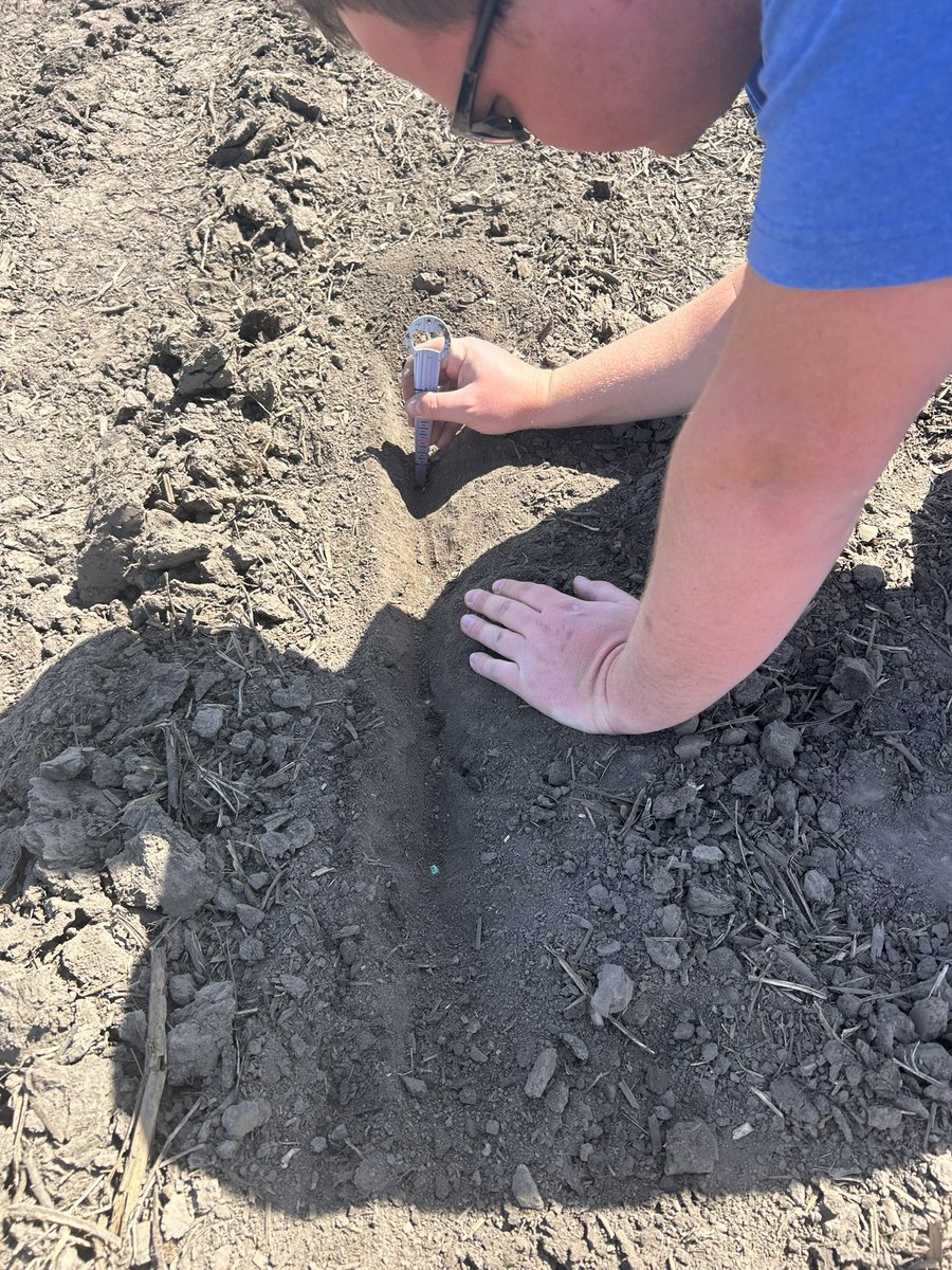 Dylan Davidson tweet media