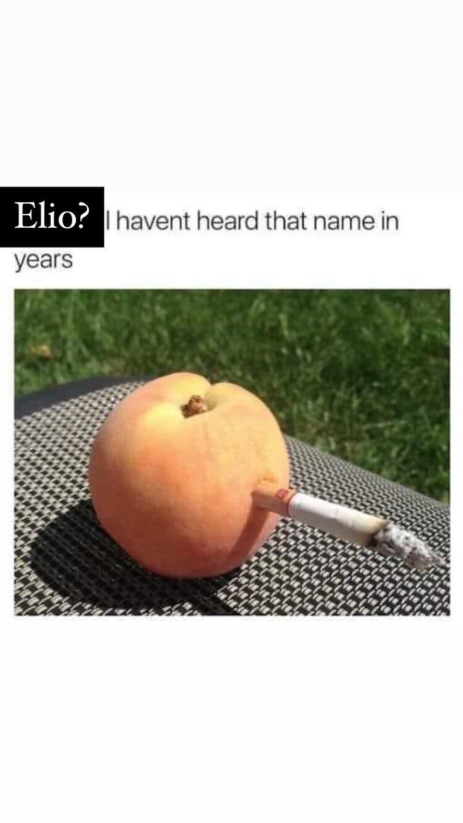 has this been made before? should i start a meme account? am i funny?