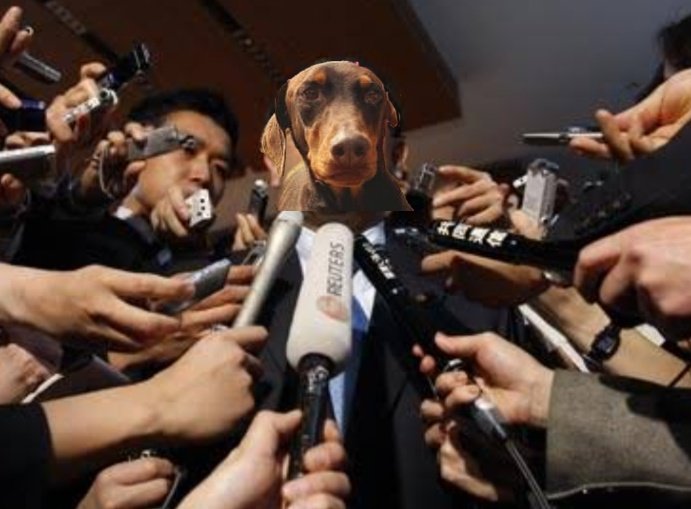 stayalivejksg's tweet photo. 🗣️:Que se siente ser la primera mascota en tener 1M de seguidores en menos de 1 día y contando?

BAM: WOF WOF WOF

🗣️ Excelente respuesta!! https://t.co/dZyfeGhbtA