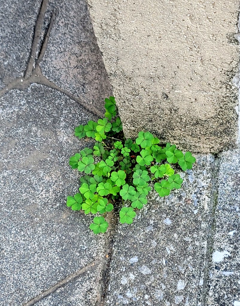 槇ななり tweet media