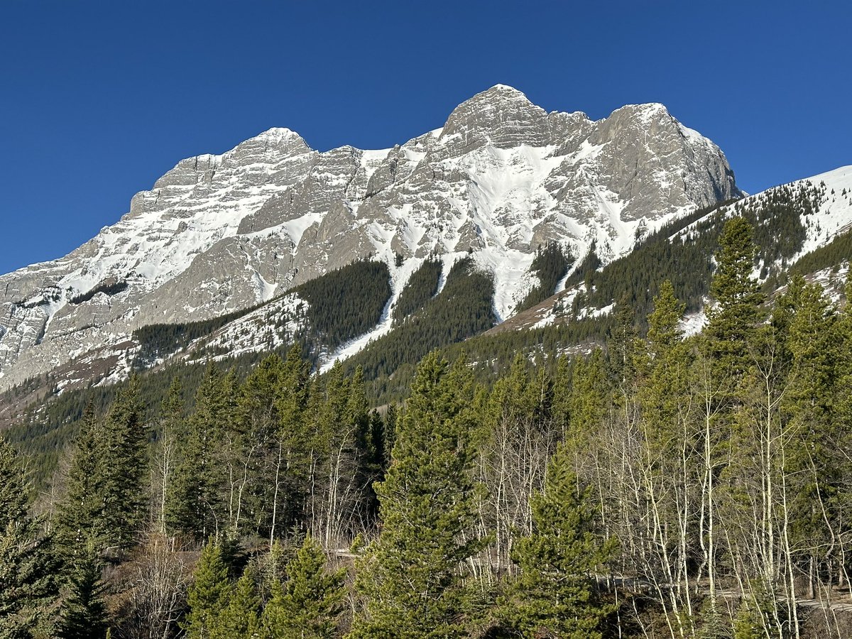 JoeisCranky's tweet photo. Not a bad view to start your day.  My office this week. Kananaskis. #Landscape #nature #alberta #shareyourweather #mountains https://t.co/JSHLIdpeuU