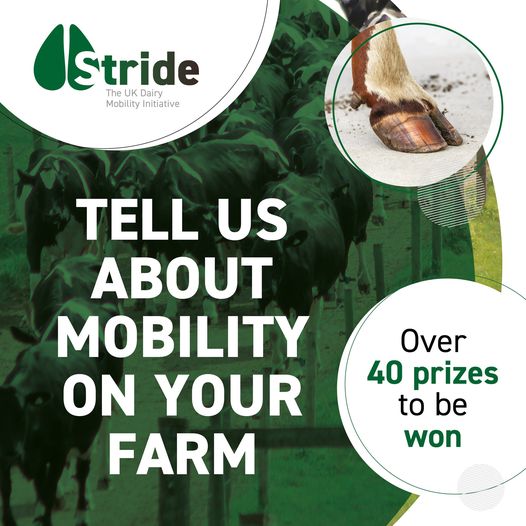 Please take some time to complete Stride's survey on herd mobility, which is the first step in an industry-wide initiative to improve hoof health. There are more than 40 prizes, including a @HerdVisionCam worth £5,500, up for grabs @NeogenCorp @Zinpro @Ceva_UK @KingshayFarming