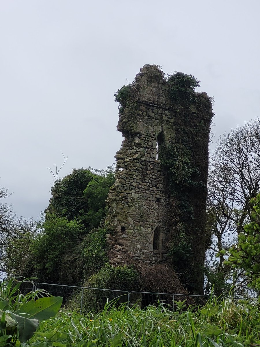 DominiAnn's tweet photo. News from Min of State James Browne TD, that the Church of St.Nicholas, Clonmines Castles is to receive €120K in funding under the Conservation of Monuments Fun with Wexford https://t.co/J6JATXiqc3.

@HeritageHubIRE
@wexfordcoco 
@JamesBrowneTD 
@towserwhelan 
@HeritageDept https://t.co/9MMnVwV9jb
