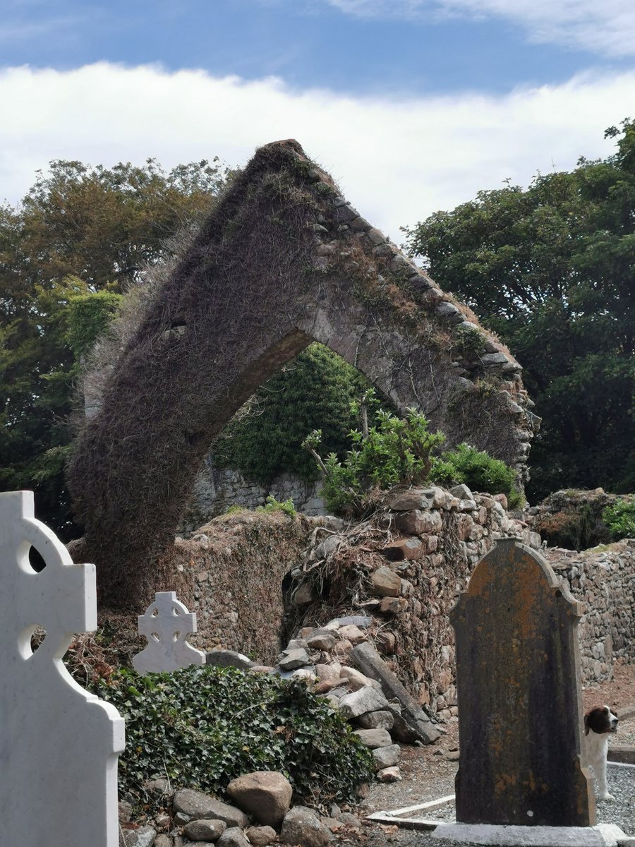 DominiAnn's tweet photo. News from Min of State James Browne TD, that the Church of St.Nicholas, Clonmines Castles is to receive €120K in funding under the Conservation of Monuments Fun with Wexford https://t.co/J6JATXiqc3.

@HeritageHubIRE
@wexfordcoco 
@JamesBrowneTD 
@towserwhelan 
@HeritageDept https://t.co/9MMnVwV9jb