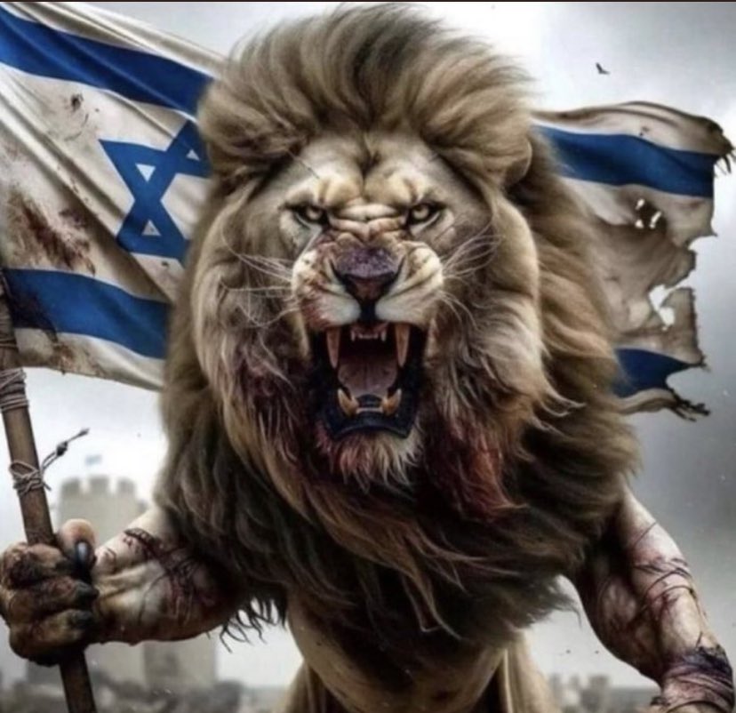 @CoralTeresa Israel invencible!