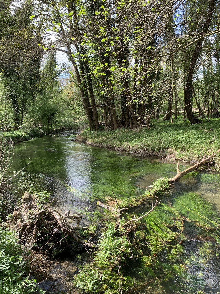 Bootiful ❤️#ChalkStreams