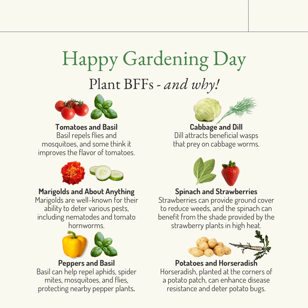 Do you have a garden?