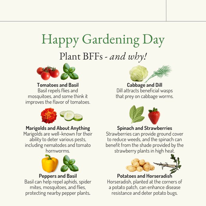 Do you have a garden? https://t.co/oEIQxYRNRt<a href="/tag/nationalpretzelday"class="tags"><span>#nationalpretzelday</span></a>