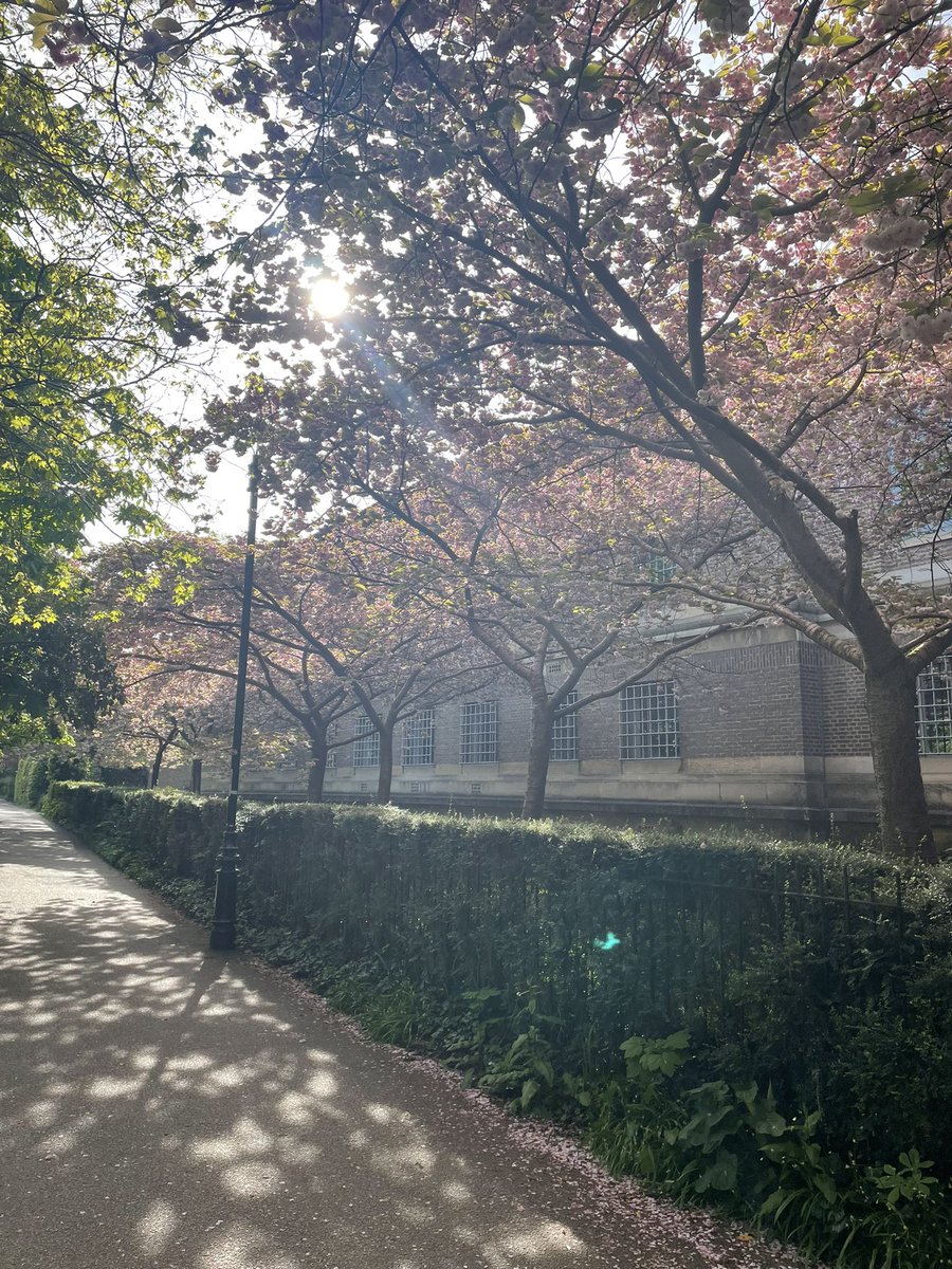 Such a brilliant couple of days at the @Mammal_Society annual conference 🐾 This was both my first time attending a conference solo and giving a talk 😬 But it could not have been more welcoming and Cambridge was looking just 👌🌸