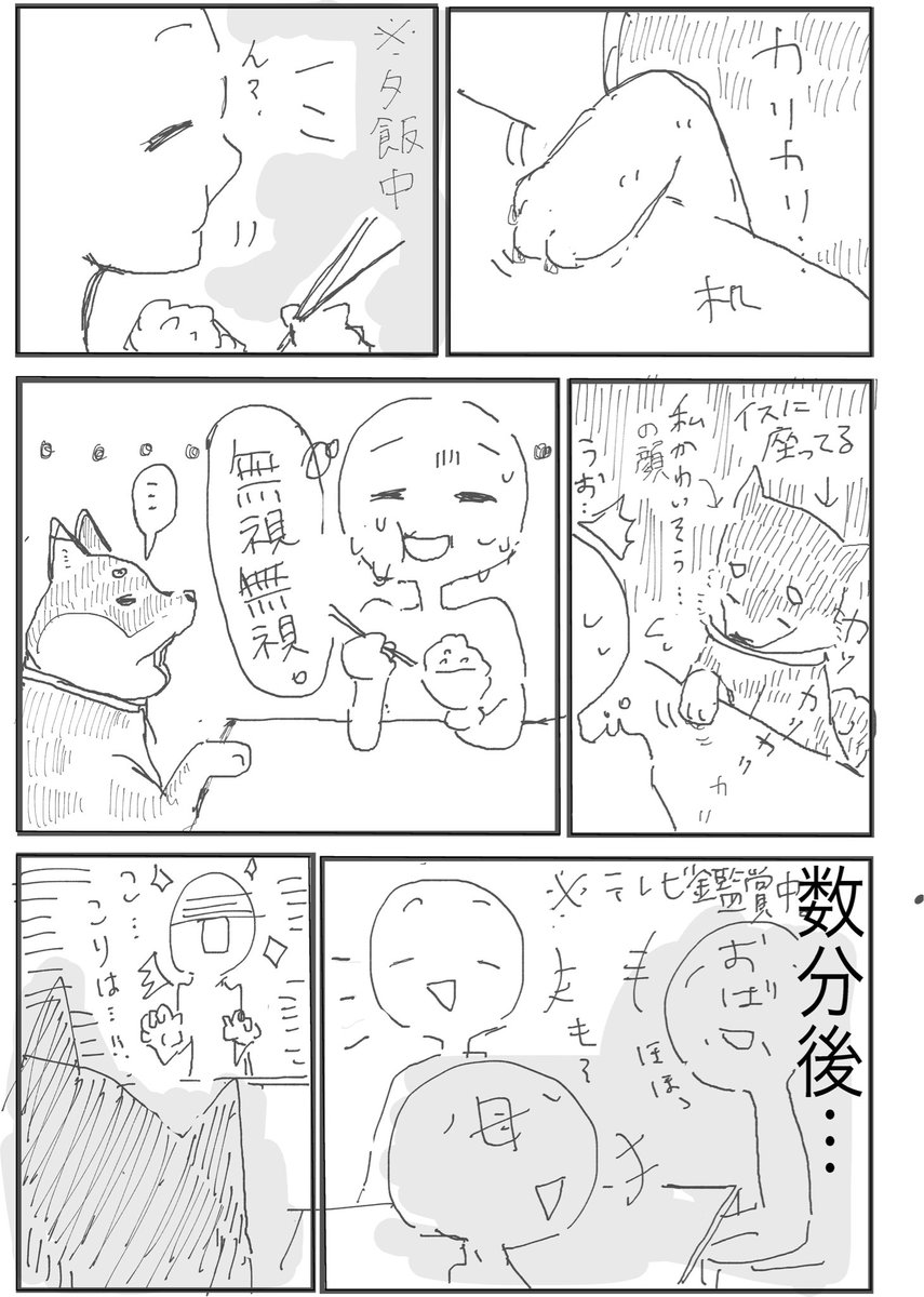 柴犬は可愛い。

#さらだの日常 #いぬのいる暮らし #日常漫画
#柴犬のいる幸せ 