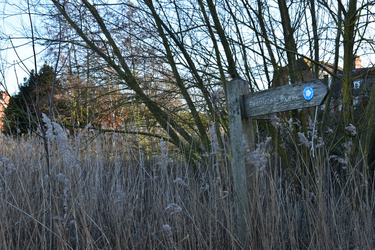 Hiding in the reeds in North #Norfolk.    #fingerpostfriday #walking #getoutside