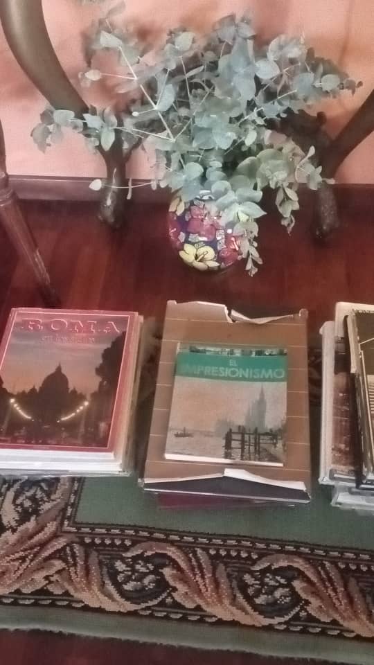 yorisvillasana's tweet photo. Un saludo de buenos días con flores y libros va lleno de simbolismo. Amistad, conocimiento y cercanía para brindar esperanzas en momentos tan difíciles. https://t.co/5bvvK6kCMp
