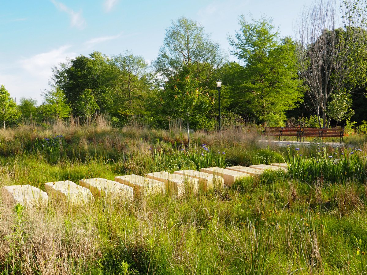 Congrats to our neighbors in @HermannPark for recently opening the Commons! This revitalized 26-acre space includes interactive play areas, a lively carousel, beautiful garden spaces, and more. Congratulations on this beautiful park destination, neighbors! 📸: Molly Childs