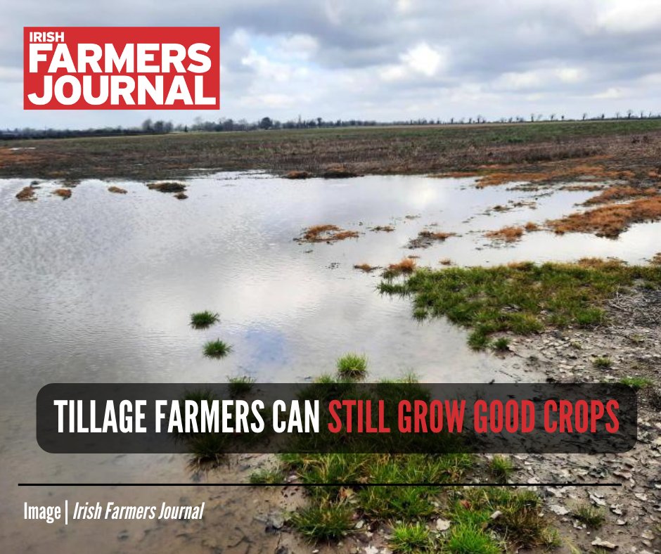 Agronomists across the country remain optimistic for tillage crops, despite the incessant rain. READ MORE - eu1.hubs.ly/H08zll30