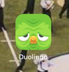 ofKapteynFarms's tweet photo. Duolingo, are you ok? https://t.co/RLKL1ayKsQ