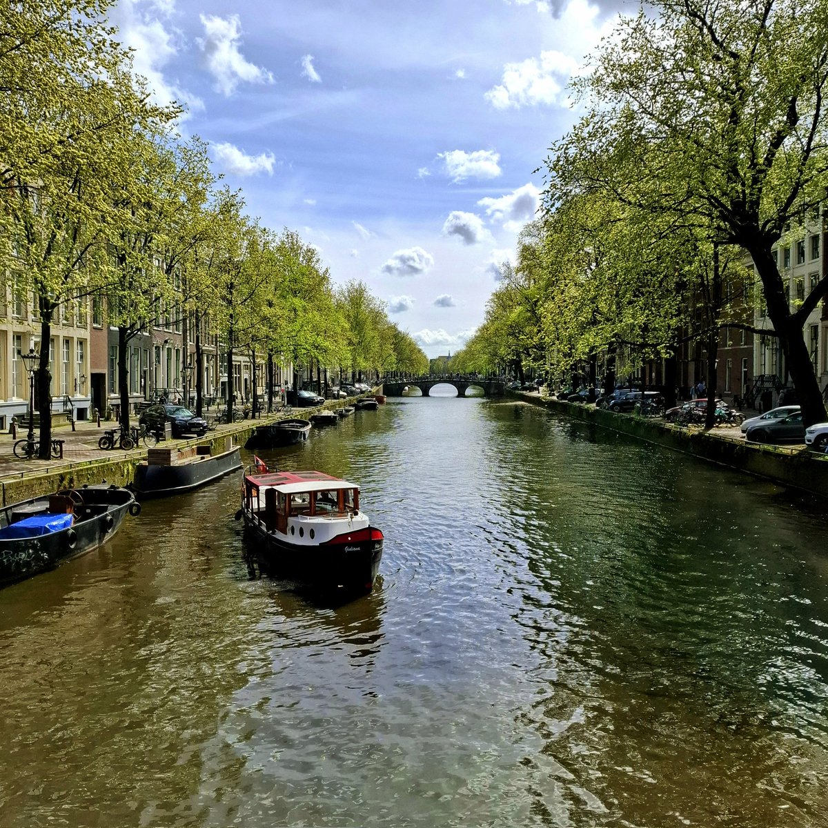 DrAJSullivan's tweet photo. A fantastic few days spent in Amsterdam at #FCVB2024. Incredibly pleased to present our work exploring #SexDifferences in OMT for #CAD and heard some great talks on the latest translational research in CV disease. 🫀🔬

@ProfAhluwalia @krishnaraj82 @Bhcintervention @AsadKShabbir https://t.co/vFHTvtQlER