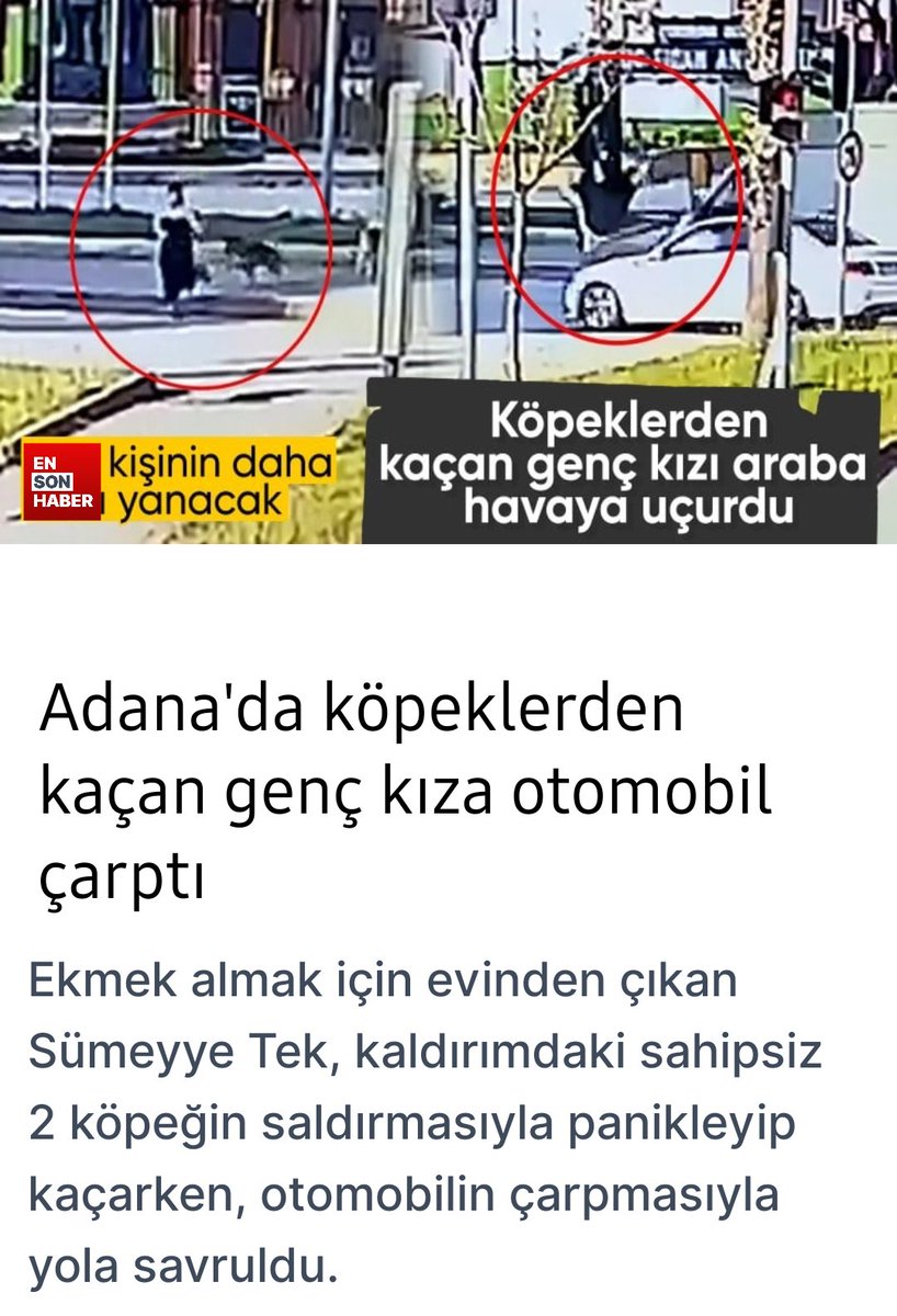 Kadına şiddet Olayında Fail Köpek olursa Görmezden geliyorlar.
Gail Erkek olursa #Kadınaşiddet Vaaaarrrr diye yaygara yapıyorlar 
#Köpekterörü #Köpekleritoplayın